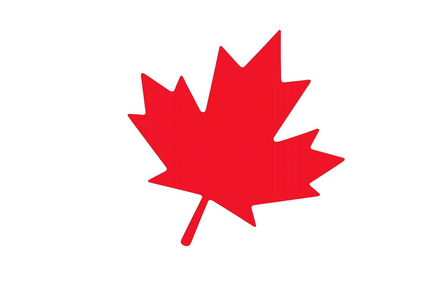 Maple Leaf